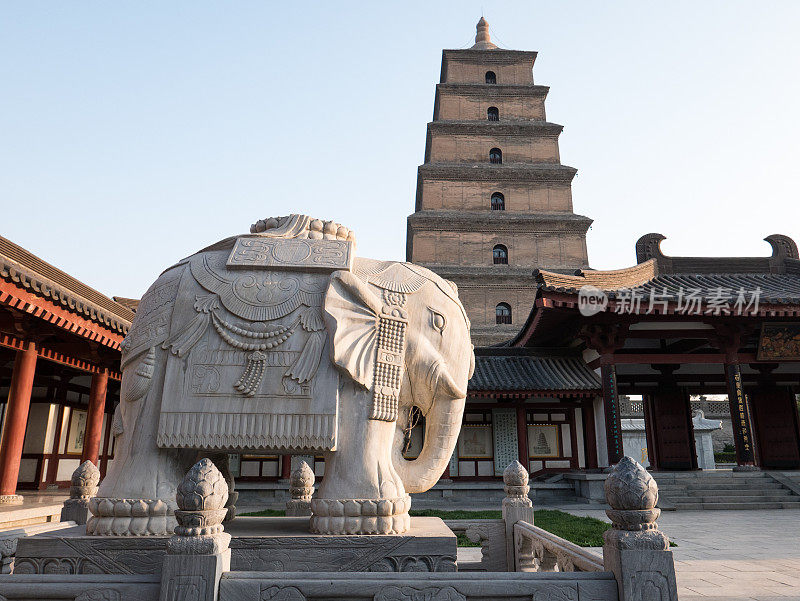 白玉象与大雁塔背景，大贤寺，西安，中国