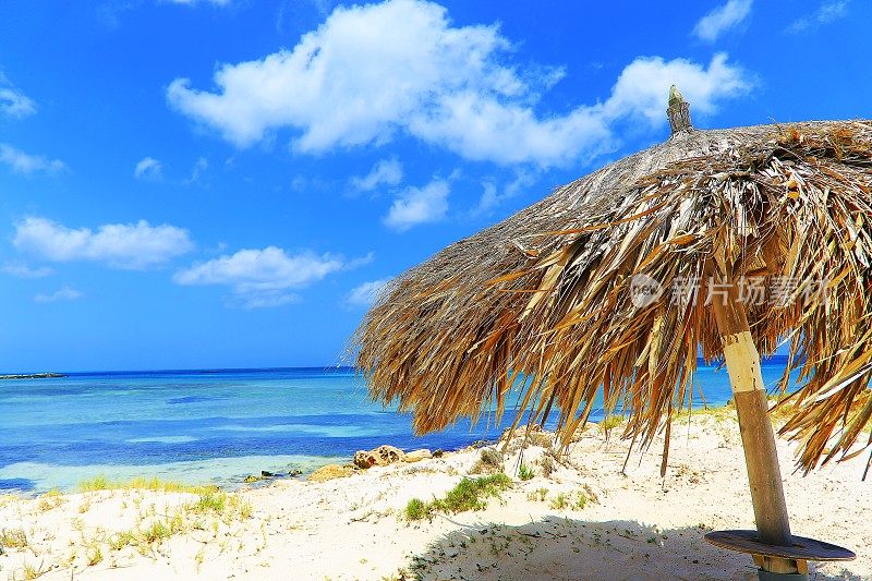 热带绿松石海滩与帕拉帕阳伞遮阳伞-加勒比海