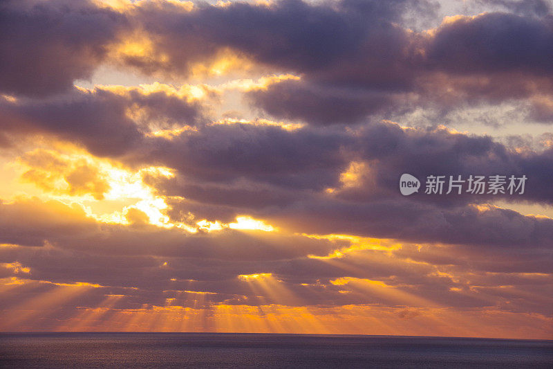 澳大利亚西部的宁格鲁海岸