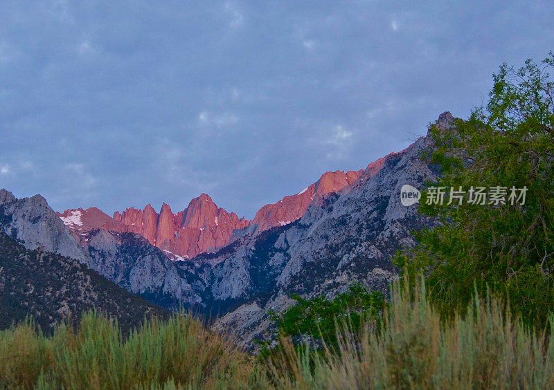 惠特尼。《暮光之城》