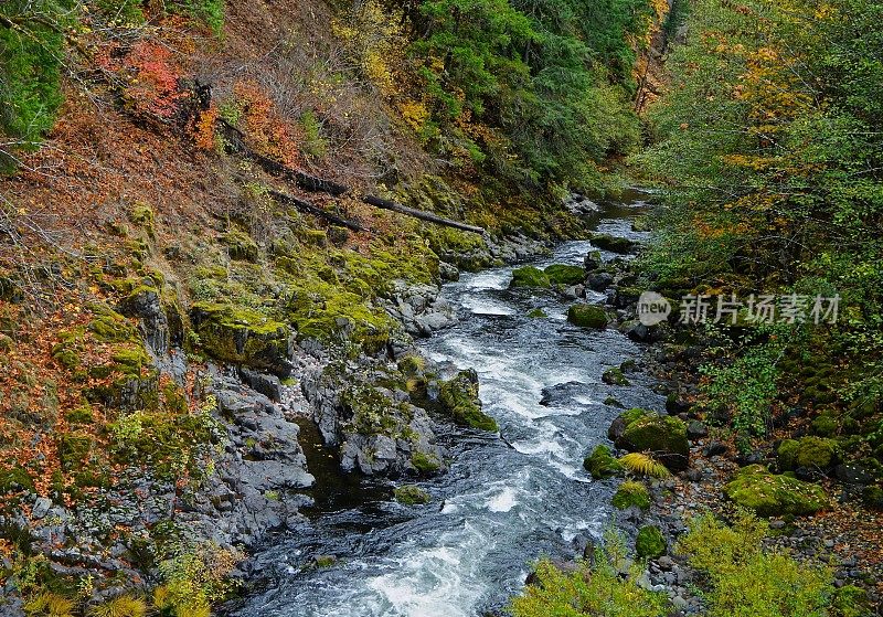 北福克威拉米特峡谷