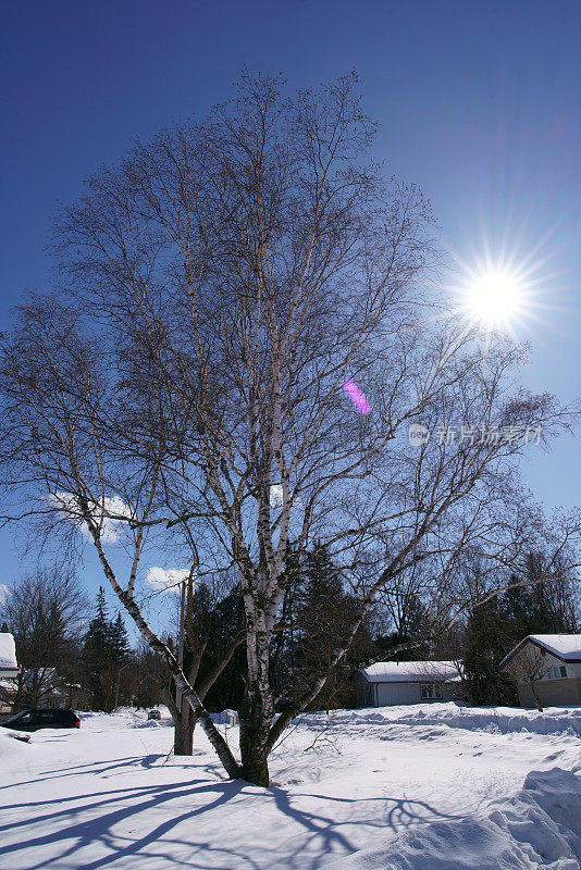 加拿大渥太华冬季社区。