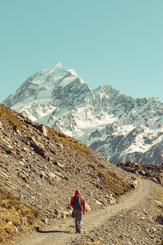 新西兰库克山;独自徒步旅行者在阳光下在库克山徒步路线。