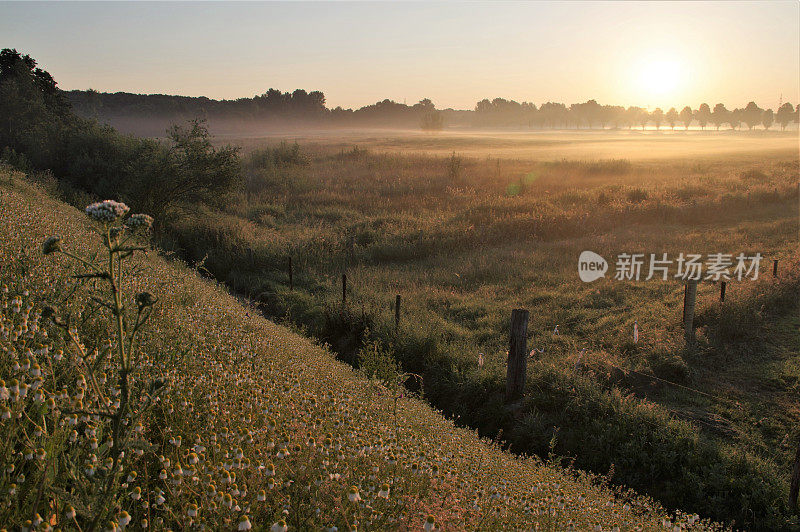 乡村的黎明景象