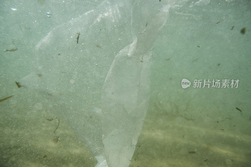 丢弃的白色塑料购物袋漂浮在海里。