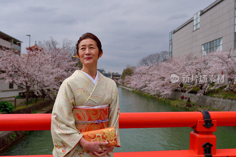 穿着和服的日本妇女在京都享受樱花盛开的季节