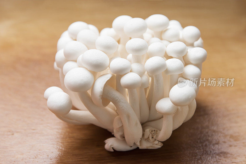 木板上白色蘑菇的特写