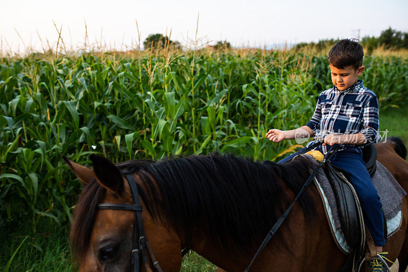 一个男孩骑着马穿过乡村，看着缰绳