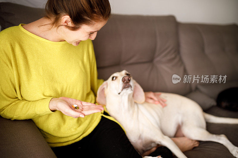 一个女人在她的狗旁边吃补品