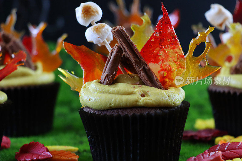 这是一组自制巧克力纸杯蛋糕的特写，上面覆盖着黄色的管状糖霜巧克力薄片，橙色的煮过的甜火焰和棉花糖，黑色的纸蛋糕盒，蓝天和绿草的背景，聚焦于前景