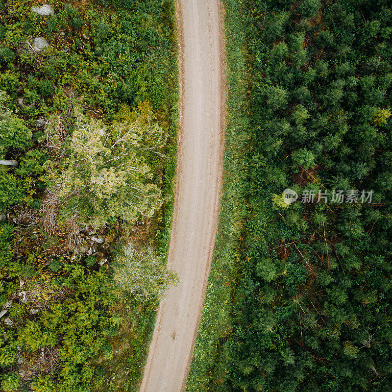 森林树木和道路的自然景观在瑞典无人机图像