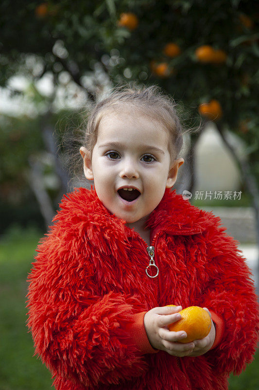 摘橘子的小女孩正在送橘子