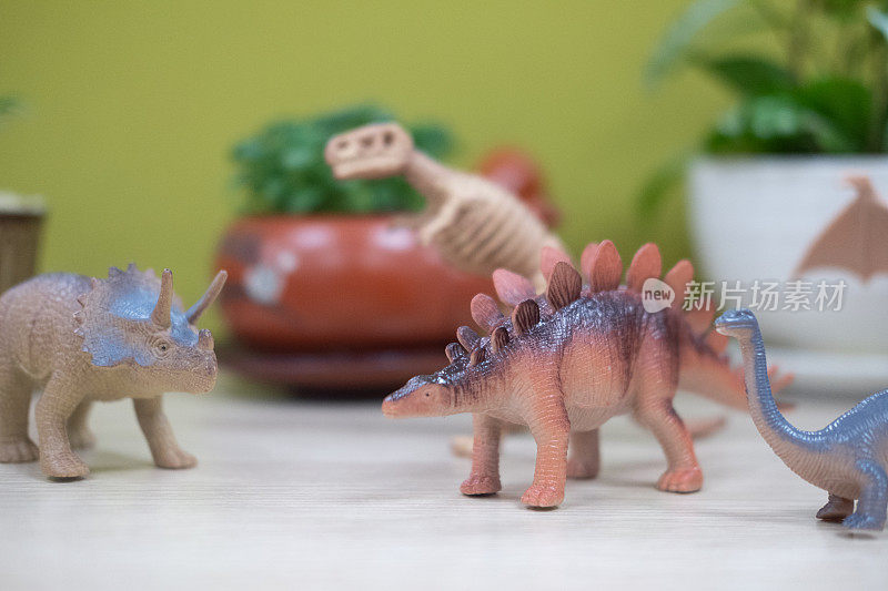 选择性的集中了一群聚集在一起的玩具塑料恐龙