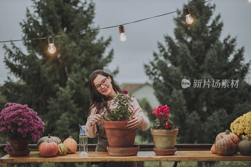 女性花匠修剪玫瑰和照顾植物