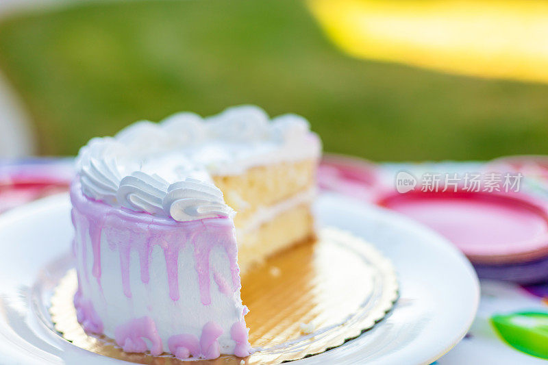 优雅的粉白色冰层生日蛋糕照片系列