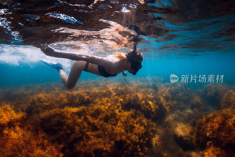带着脚蹼和面具的年轻女子在阳光照耀下的蓝色海洋中游泳。在夏天的海面下浮潜