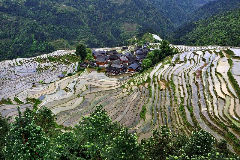 中国贵州——梯田的抽象线条