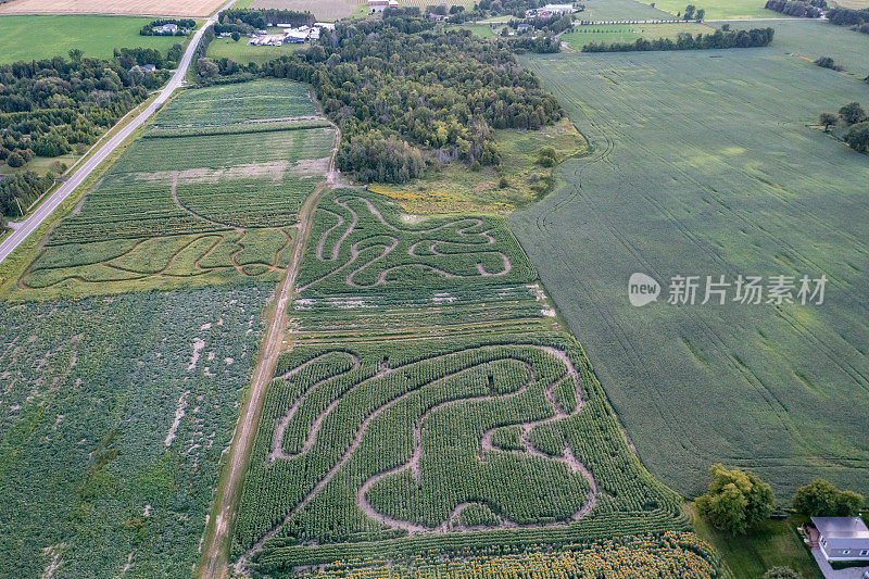 加拿大库克敦，夕阳下27号公路上的农场