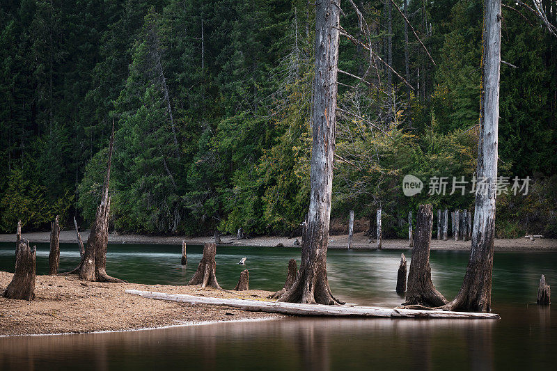 科莫克斯湖，温哥华岛