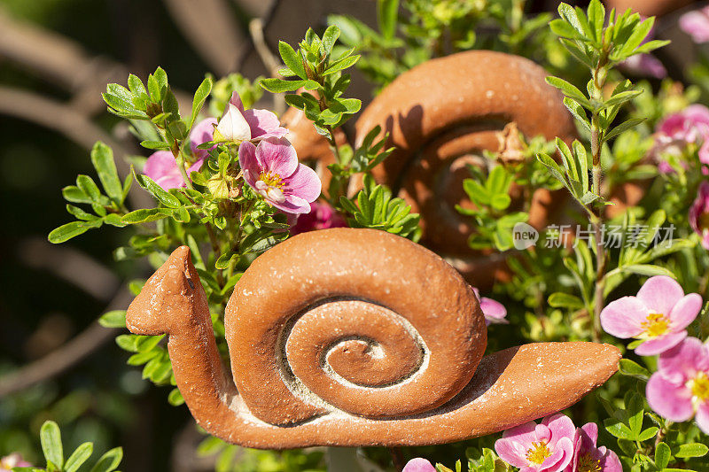 花园里的陶瓷蜗牛，点缀着粉红色的花朵