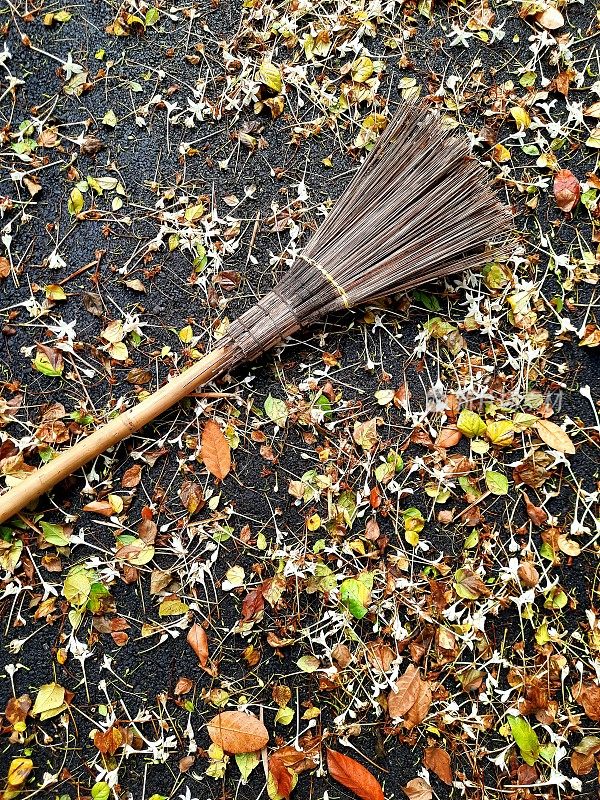 用扫帚扫花和叶子。