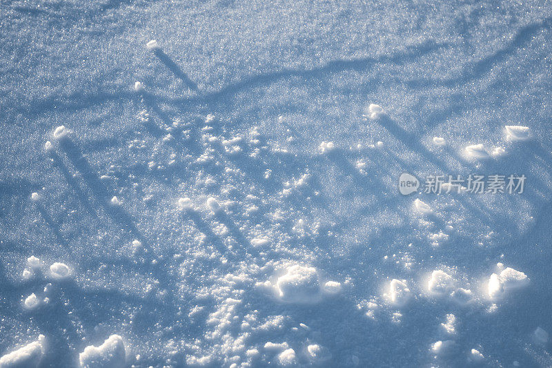 发光的雪