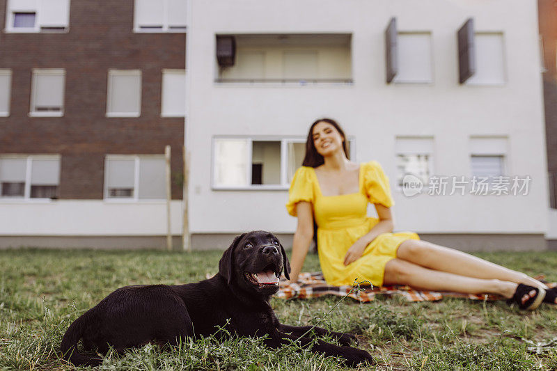 美丽的年轻女子和她的拉布拉多狗野餐