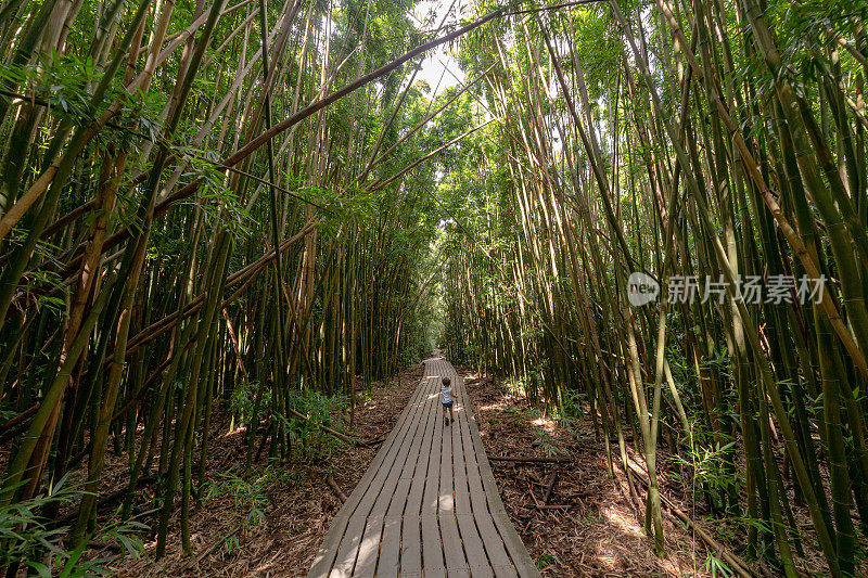 小女孩在竹林中奔跑