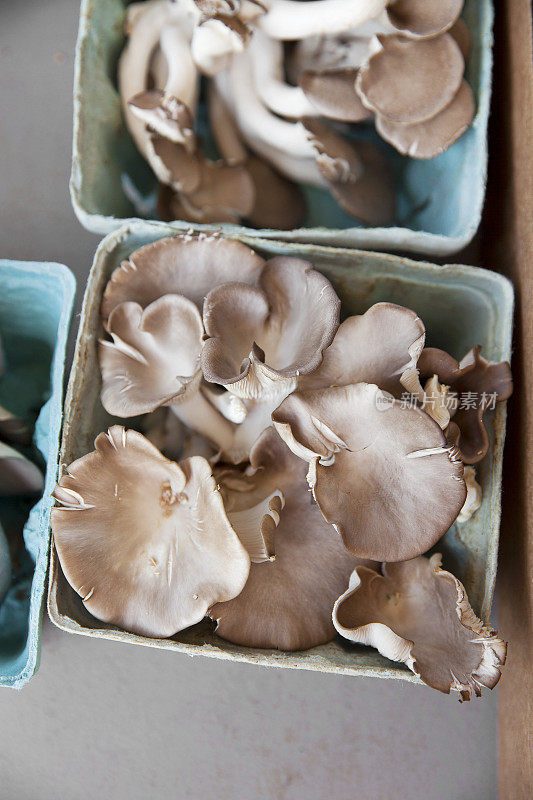 农民市场上的意大利牡蛎和黑珍珠蘑菇