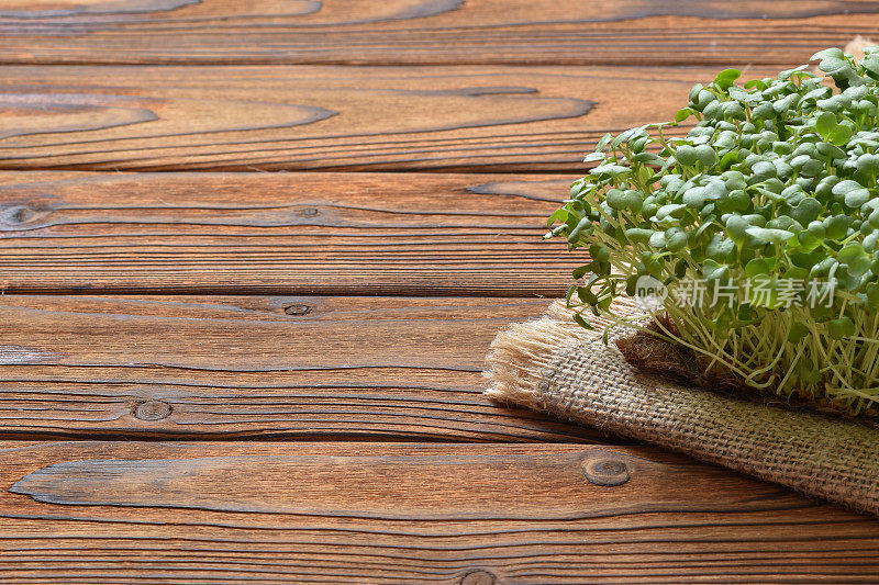 芝麻菜幼苗在一个木制的自然基质上。