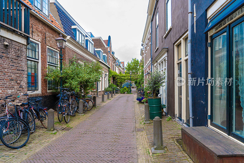 荷兰，哈勒姆——2022年3月:城市街道上的装饰性植物。哈勒姆，舒适的绿色小街。社会包容和气候变化的概念