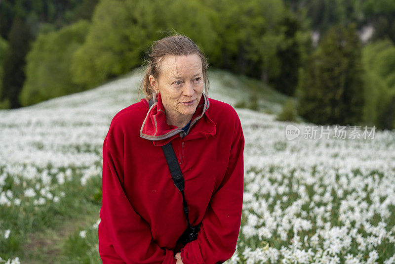 老妇人在盛开的花田在山顶的山坡，Golica，斯洛文尼亚