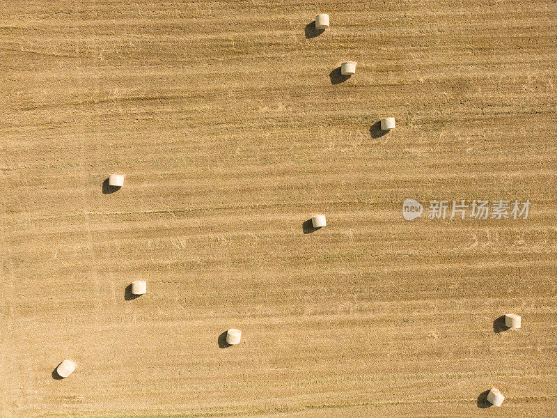 小麦干草捆在收获的土地上的俯视图