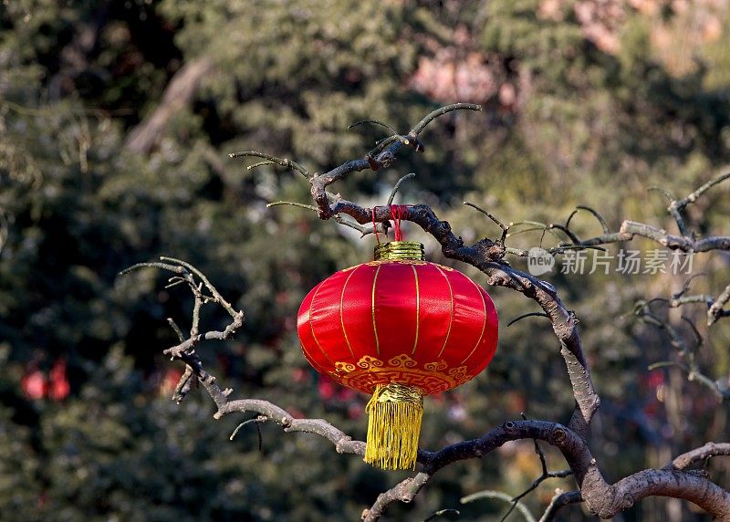 元宵节