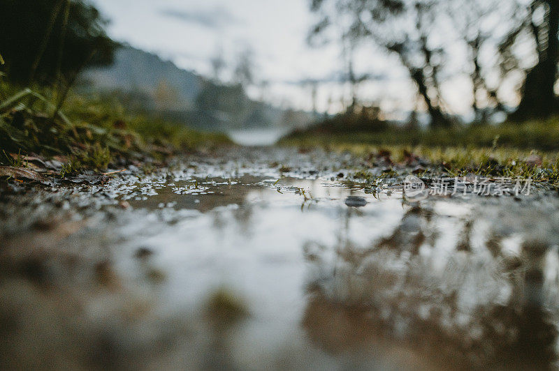 水坑的细节