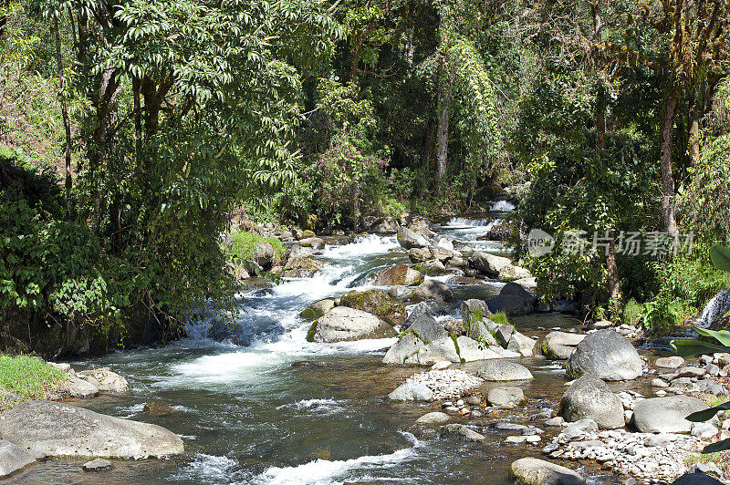 里约热内卢萨瓦格雷，或萨瓦格雷河场景，圣赫拉尔多德多塔，哥斯达黎加