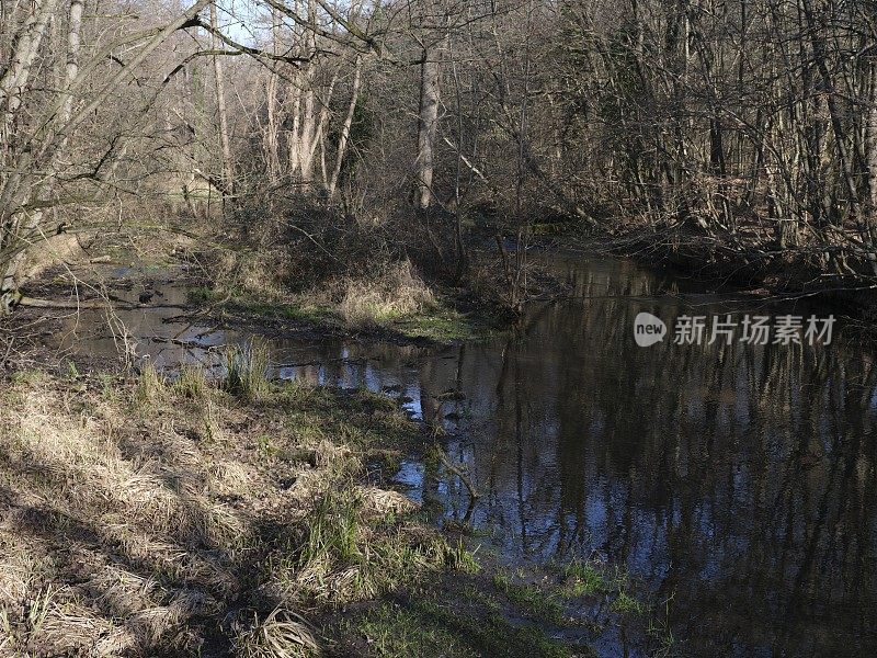 干涸的河床