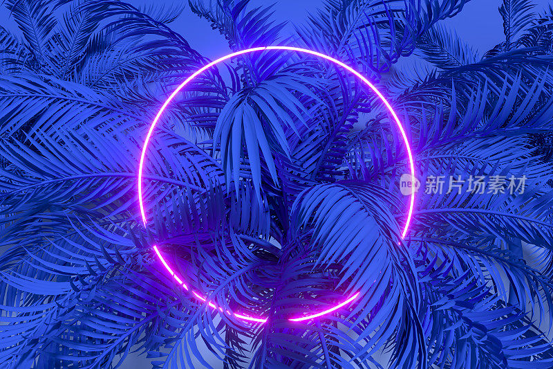 热带棕榈树树叶与霓虹闪电框架，抽象的背景
