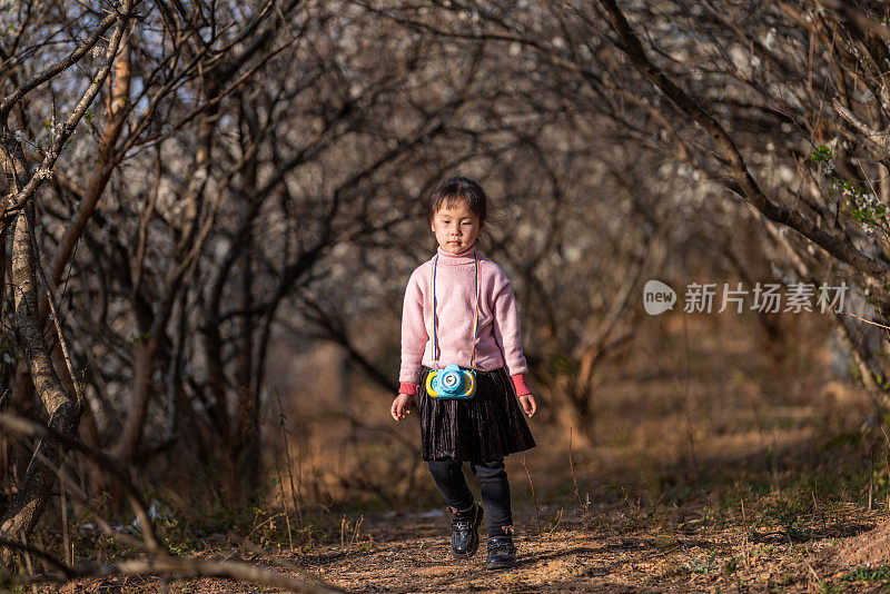 在黄昏的梅林里