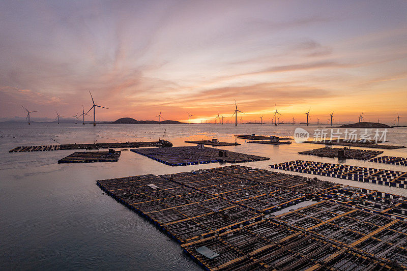 夕阳下漂浮在海上的水产养殖场