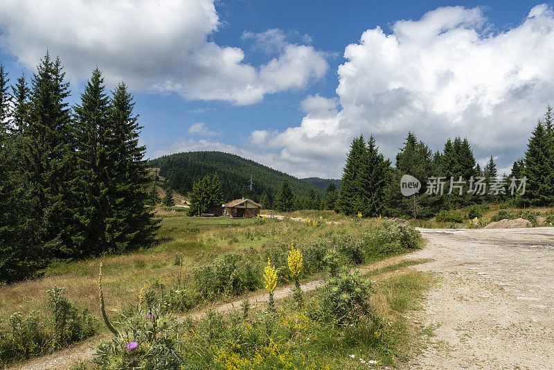 保加利亚罗多比山区的乡间小路，