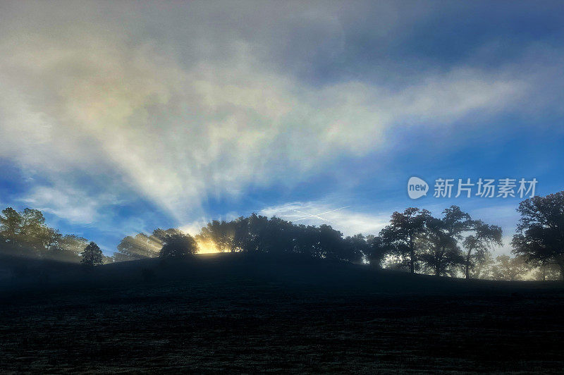 白玉兰牧场地区公园，科洛马，CA