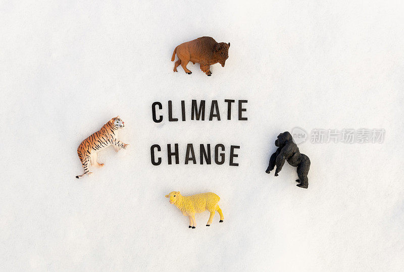 短语气候变化和四个玩具野生动物在雪地上。