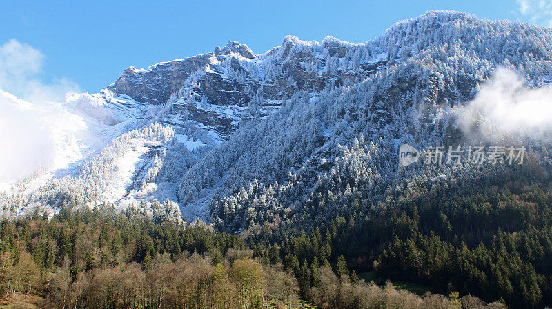 瑞士因特拉肯的新雪