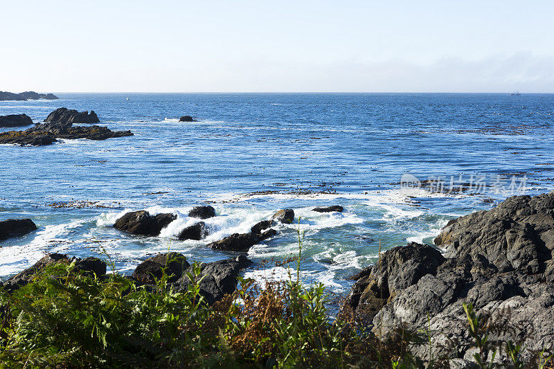 Ucluelet,温哥华岛