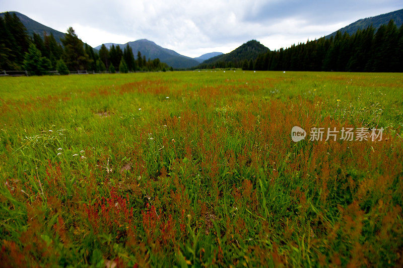 风暴掠过草地和山脉