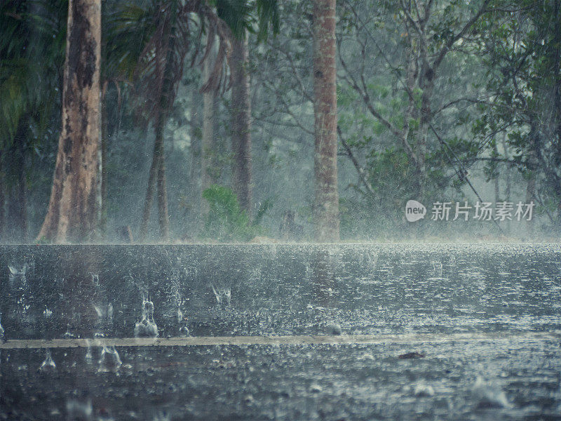 热带雨