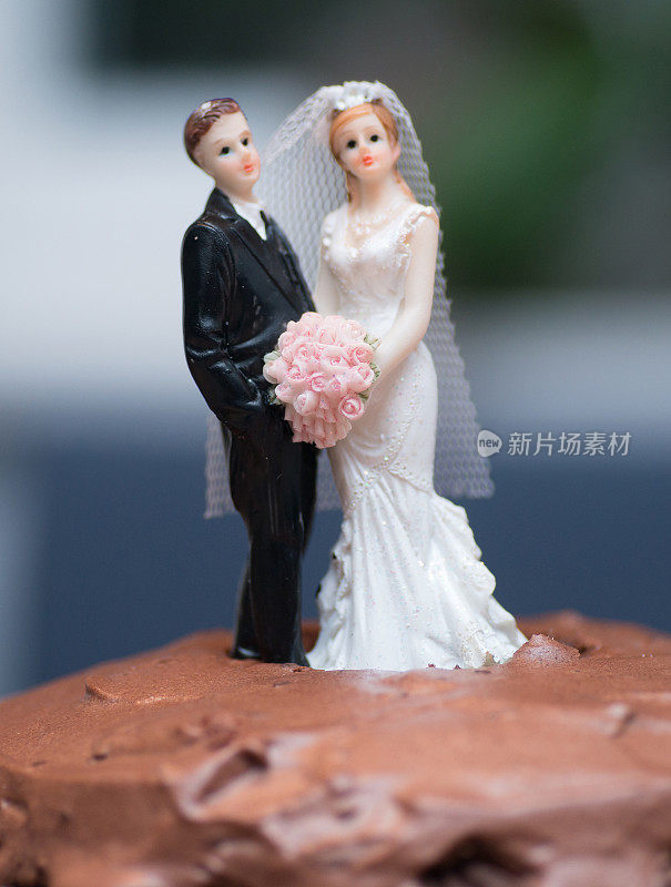 新婚燕尔在巧克力蛋糕上