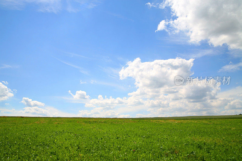 饱和夏天的风景