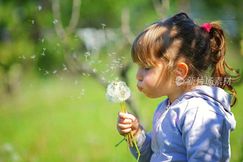 帽子里的小女孩吹着蒲公英